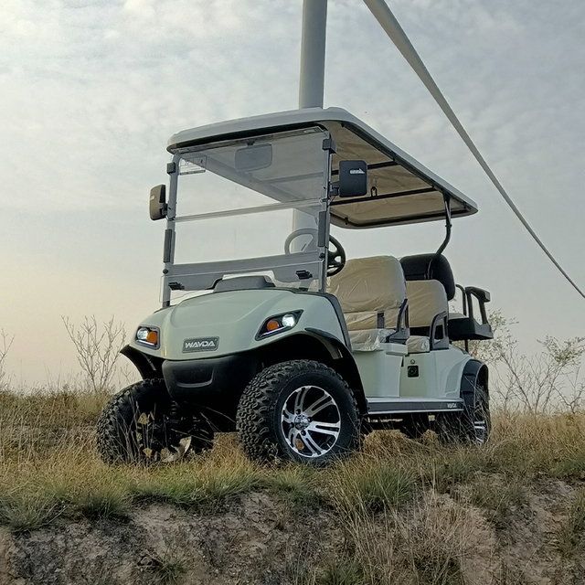 Carro de golfe levantado para 6 passageiros, novo carrinho de golfe elétrico de 4 rodas para venda