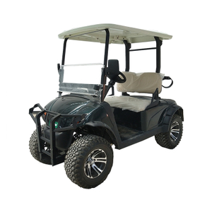 Novo carro de golfe elétrico 2 assentos carrinho de golfe clube carro