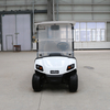 2 lugares Golf Club Car Buggy Golf com painel de LED