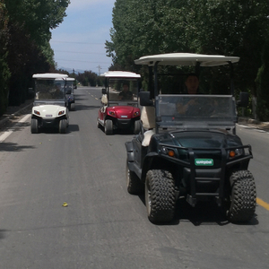 Carros de golfe altos do chassi de 4 Seater, bateria acidificada ao chumbo e de lítio, carros elétricos personalizados Escolha