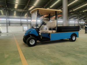 Mini transporte elétrico de carga para golfe, carrinho de golfe, 2 lugares, grande capacidade de carregamento com cama basculante