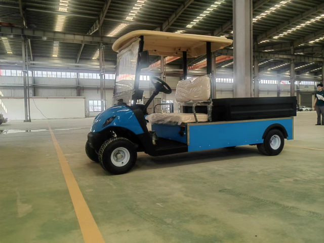 Mini transporte elétrico de carga para golfe, carrinho de golfe, 2 lugares, grande capacidade de carregamento com cama basculante