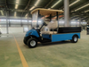 Mini transporte elétrico de carga para golfe, carrinho de golfe, 2 lugares, grande capacidade de carregamento com cama basculante