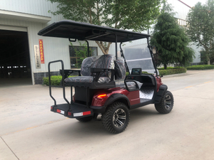 Venda o novo carrinho de golfe off-road elétrico N para personalizar a carroceria