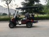 Venda o novo carrinho de golfe off-road elétrico N para personalizar a carroceria