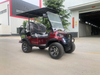 Venda o novo carrinho de golfe off-road elétrico N para personalizar a carroceria